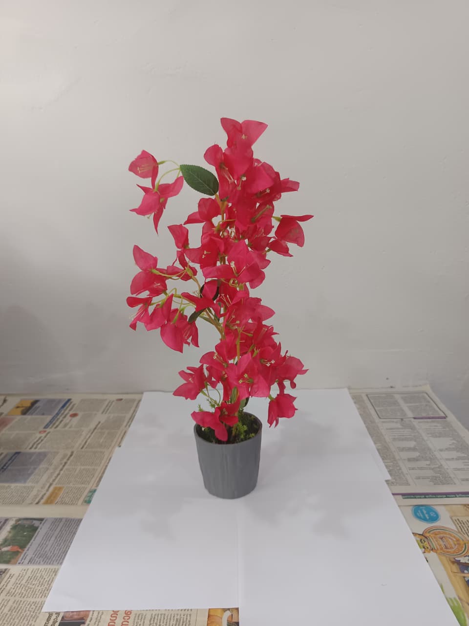 Flower 3